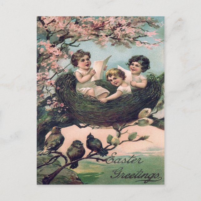 Cute Children Bird Nest Tree Postcard (Front)