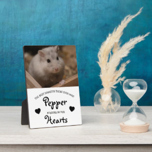 Cute Children's Pet Memorial Plaque