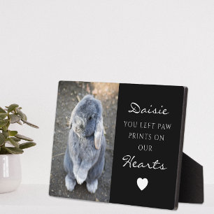 Cute Children's Pet Photo Memorial Plaque