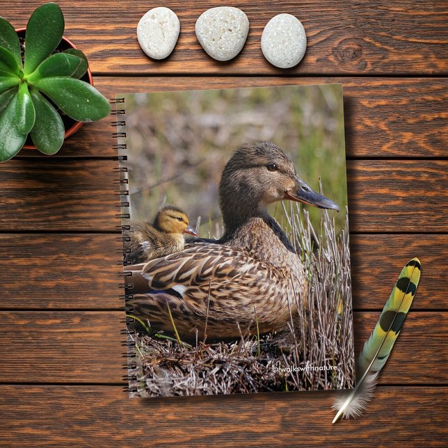 Cute Chillin' Mallard Mum Duck & Baby Duckling Notebook (Chillin' Mallard Mom and Baby Journal Cover Photo)