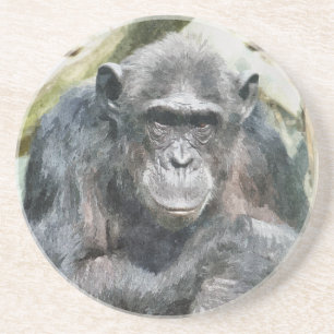 CUTE CHIMPANZEE COASTER