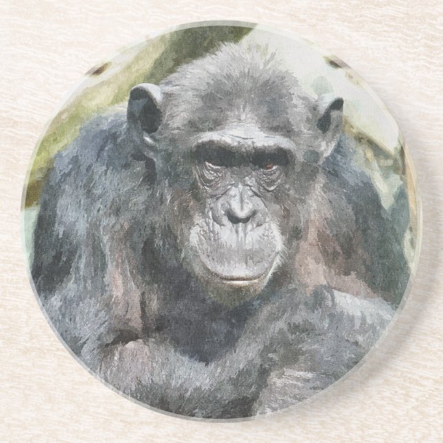 CUTE CHIMPANZEE COASTER (Front)
