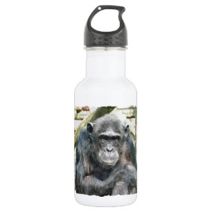 CUTE CHIMPANZEES 532 ML WATER BOTTLE