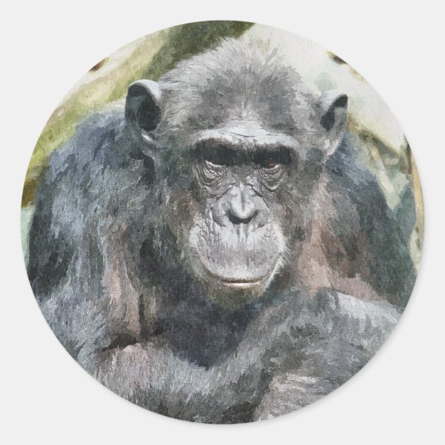 CUTE CHIMPANZEES CLASSIC ROUND STICKER (Front)