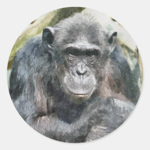CUTE CHIMPANZEES CLASSIC ROUND STICKER