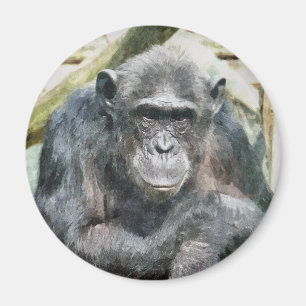 CUTE CHIMPANZEES MAGNET