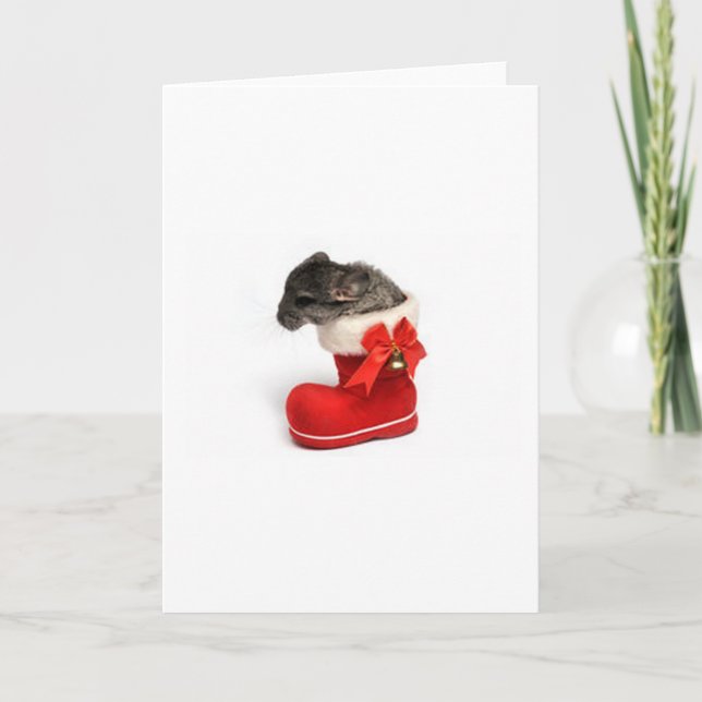 Cute Chinchilla in Christmas Stocking Holiday Card (Front)