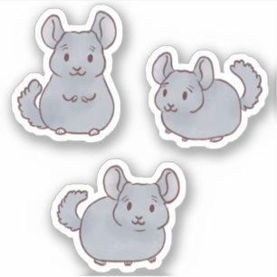 Cute Chinchillas