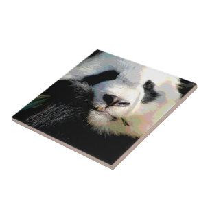 Cute Chinese Panda Bear Eating Bamboo Digital Art Tile