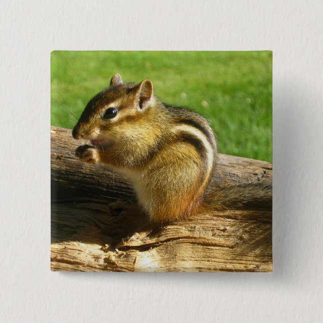 Cute Chipmunk 15 Cm Square Badge (Front)