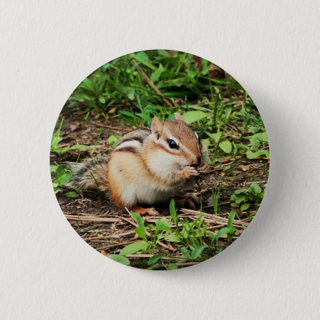 Cute Chipmunk 6 Cm Round Badge (Front)
