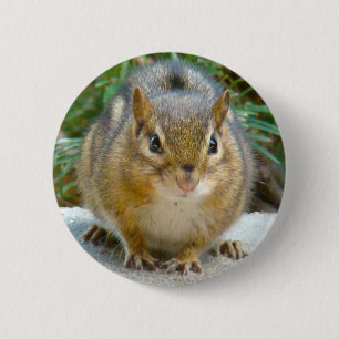 Cute Chipmunk Has His Eye On You 6 Cm Round Badge