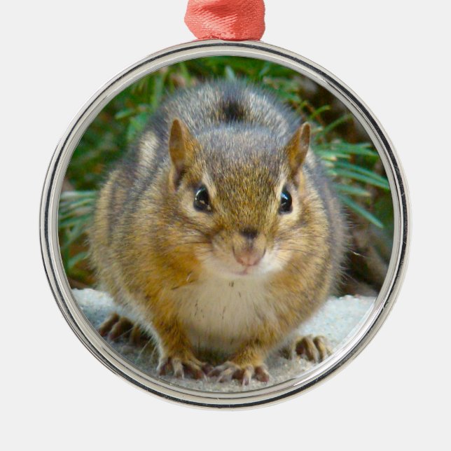 Cute Chipmunk Has His Eye On You Ceramic Ornament (Front)