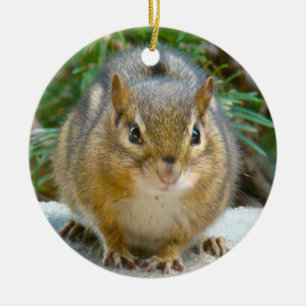 Cute Chipmunk Has His Eye On You Ceramic Tree Decoration