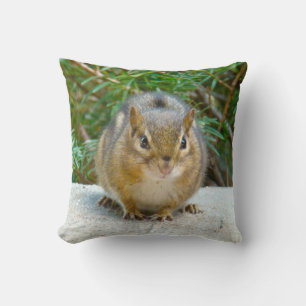 Cute Chipmunk Has His Eye On You Cushion