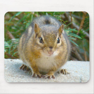 Cute Chipmunk Has His Eye On You Mouse Mat