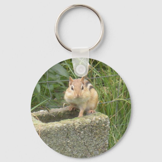 Cute Chipmunk Key Ring (Front)