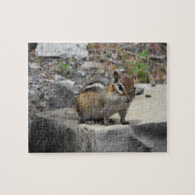 Cute Chipmunk Like Critter on a Rock Jigsaw Puzzle (Horizontal)