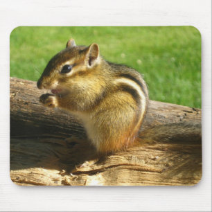 Cute Chipmunk Mouse Mat