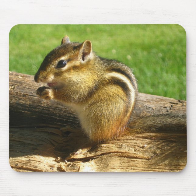 Cute Chipmunk Mouse Mat (Front)