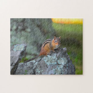 Cute Chipmunk, Shenandoah National Park Jigsaw Puzzle