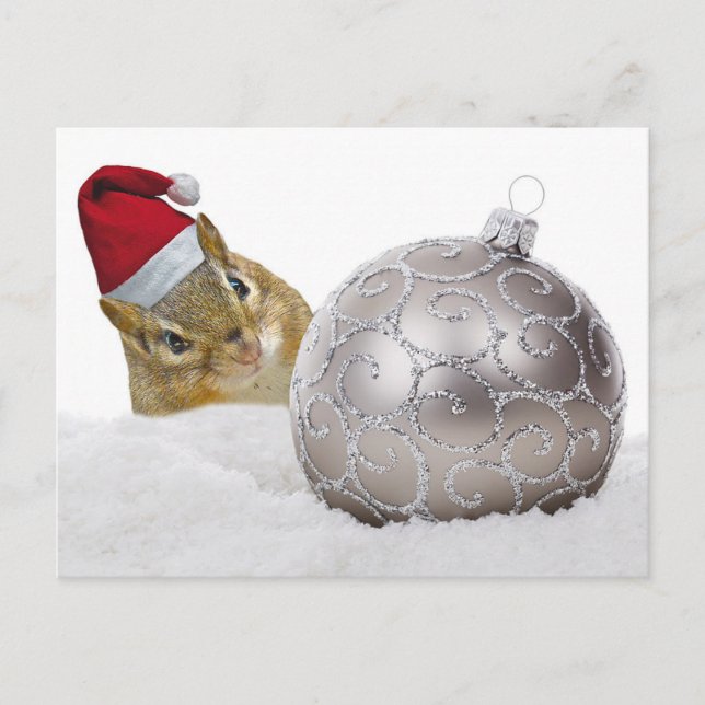 Cute Chipmunk Silver and Snow Christmas Holiday (Front)