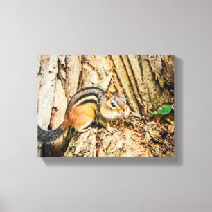 Cute Chipmunk Wildlife Animals Nature Canvas Print