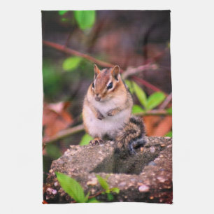 Cute Chipmunk Wildlife Tea Towel