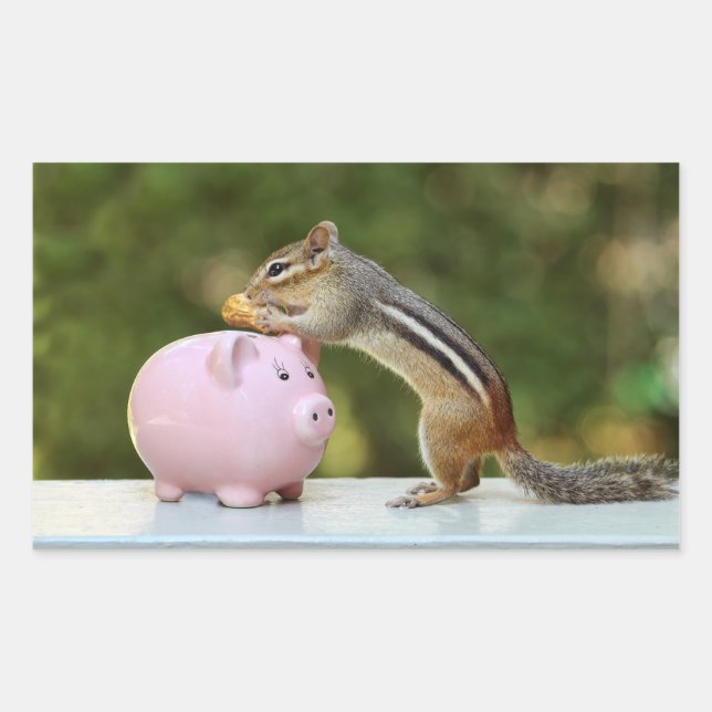Cute Chipmunk with Funny Money Piggy Bank Picture Rectangular Sticker (Front)