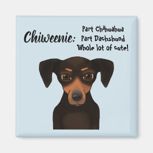 Cute Chiweenie Appreciation Chihuahua Dachshund Magnet