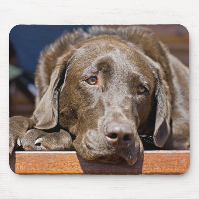 Cute Chocolate Brown Labrador Retriever Pet Dog Mouse Mat (Front)