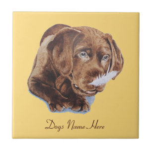 cute chocolate brown labrador retriever puppy dog tile