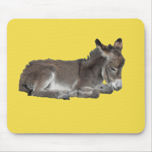 Cute chocolate donkey baby foal sleeping mouse mat