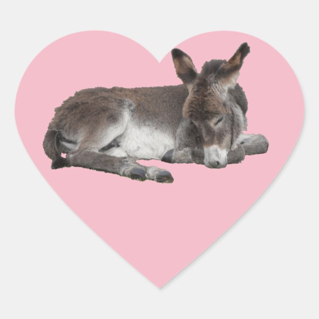 Cute chocolate donkey baby foal sleeping on pink heart sticker (Front)