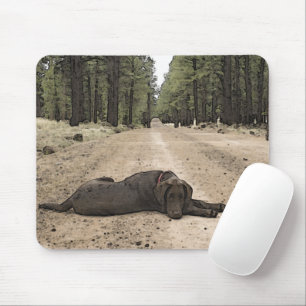 Cute Chocolate Lab Puppy On A Forest Trail Mouse Mat