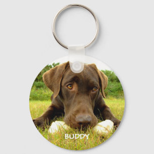 Cute Chocolate Labrador Custom Keychain