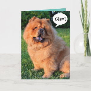 Cute Chow Chow Saying "Ciao!" Greeting Card