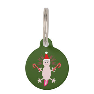 Cute Christmas Axolotl Custom Pet Tag