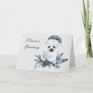 Cute Christmas Baby Seal Holiday Card