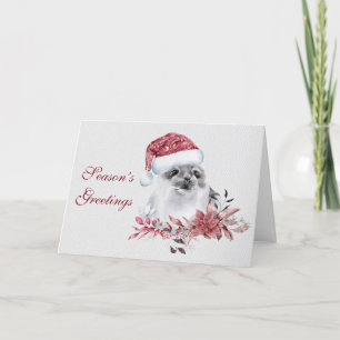 Cute Christmas Baby Seal Holiday Card