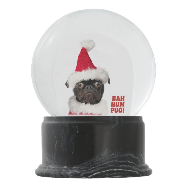 Pug snow shop globe