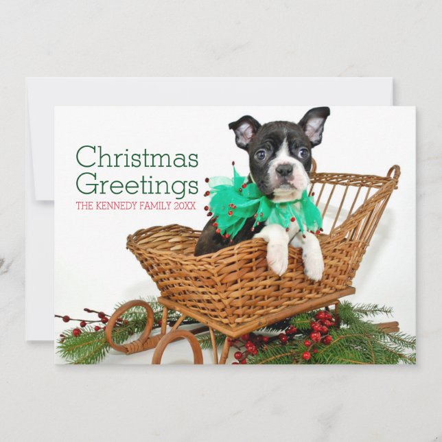 Cute Christmas Boston Terrier puppy Holiday Card (Front)