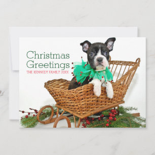 Cute Christmas Boston Terrier puppy Holiday Card