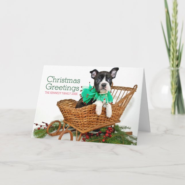Cute Christmas Boston Terrier puppy Holiday Card (Front)
