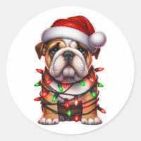 Cute Christmas Bulldog 
