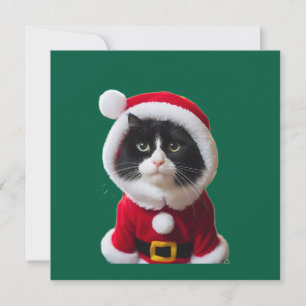 Cute Christmas cat Invitation