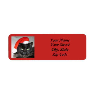Cute Christmas Cat Santa Hat Photo