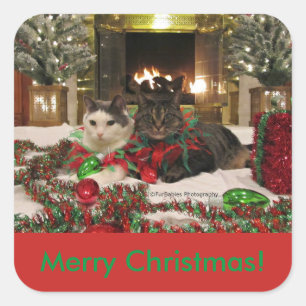 Cute Christmas Cats sticker