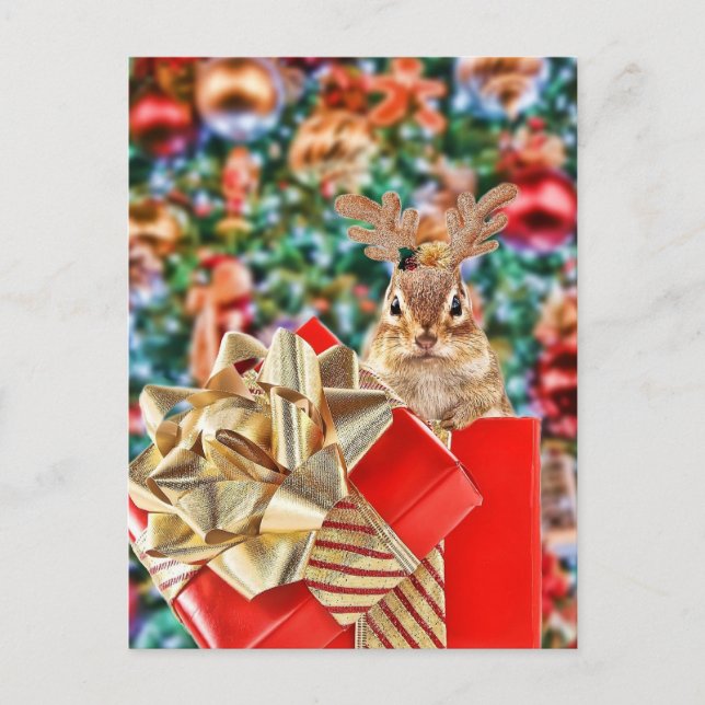 Cute Christmas Chipmunk Holiday Postcard (Front)