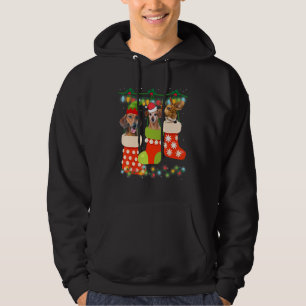 Cute Christmas Dachshund In Sock Xmas Reindeer San Hoodie